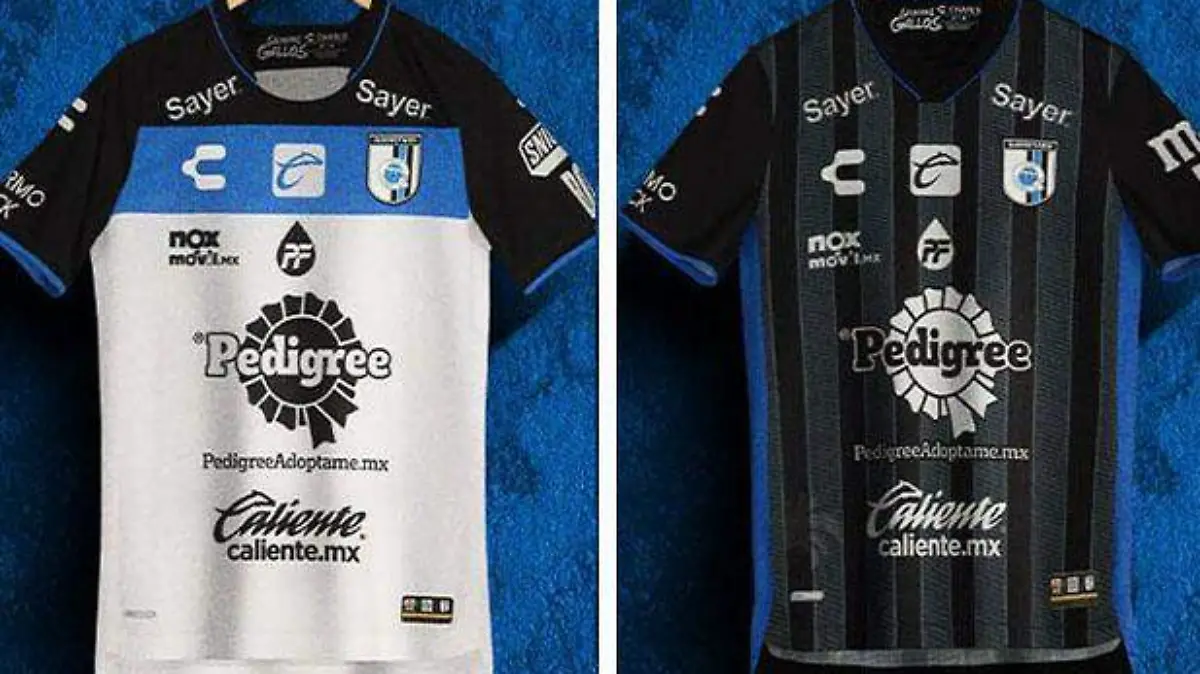 Uniforme Gallos ok